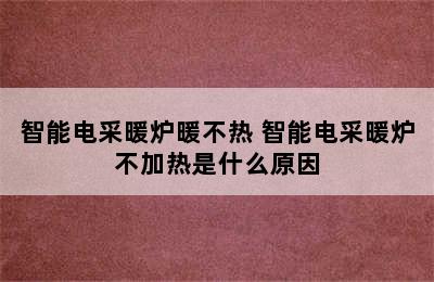 智能电采暖炉暖不热 智能电采暖炉不加热是什么原因